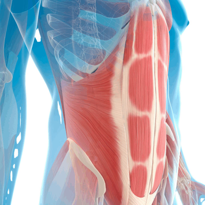 画像に alt 属性が指定されていません。ファイル名: 2-720x720.png